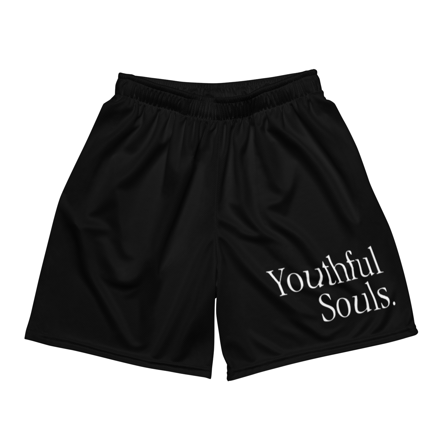 YS Mesh